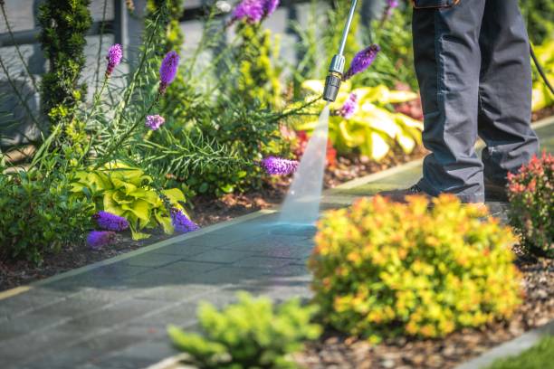 Best Commercial Pressure Washing in Clinton, MS